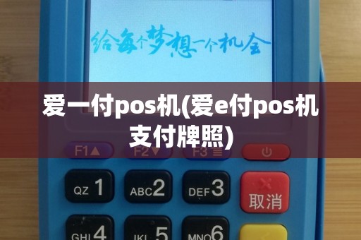 爱一付pos机(爱e付pos机支付牌照)