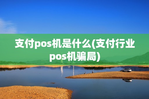 支付pos机是什么(支付行业pos机骗局)