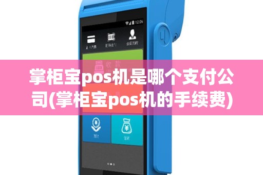 掌柜宝pos机是哪个支付公司(掌柜宝pos机的手续费)