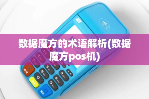 数据魔方的术语解析(数据魔方pos机)