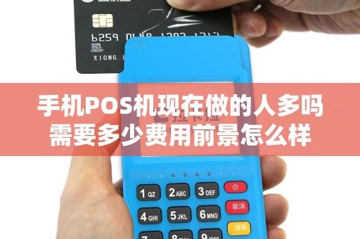 手机POS机现在做的人多吗需要多少费用前景怎么样