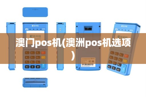 澳门pos机(澳洲pos机选项)
