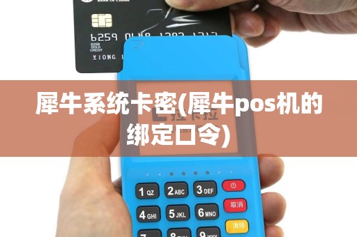 犀牛系统卡密(犀牛pos机的绑定口令)