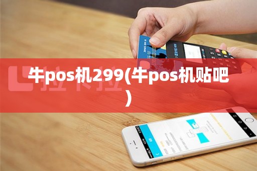 牛pos机299(牛pos机贴吧)