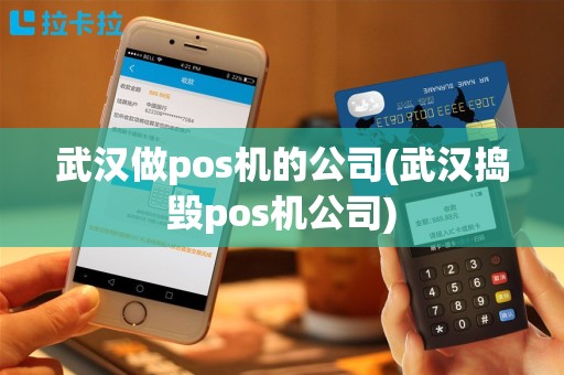 武汉做pos机的公司(武汉捣毁pos机公司)
