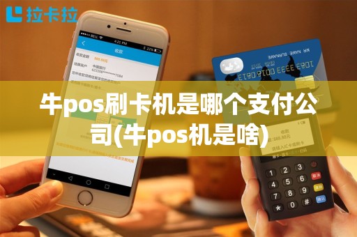 牛pos刷卡机是哪个支付公司(牛pos机是啥)