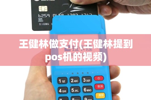 王健林做支付(王健林提到pos机的视频)