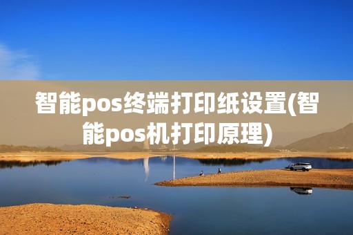 智能pos终端打印纸设置(智能pos机打印原理)
