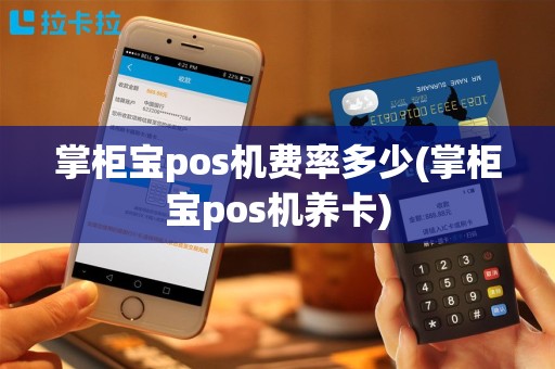 掌柜宝pos机费率多少(掌柜宝pos机养卡)