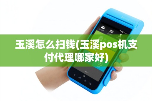 玉溪怎么扫钱(玉溪pos机支付代理哪家好)