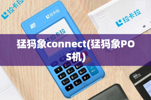 猛犸象connect(猛犸象POS机)