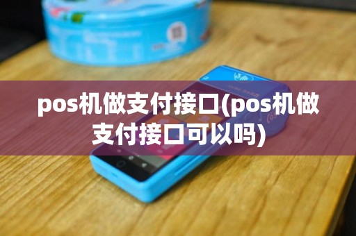 pos机做支付接口(pos机做支付接口可以吗)