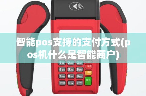 智能pos支持的支付方式(pos机什么是智能商户)