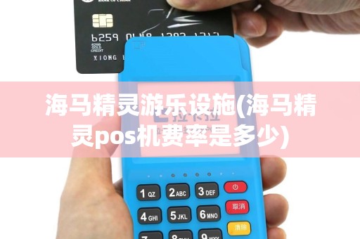 海马精灵游乐设施(海马精灵pos机费率是多少)