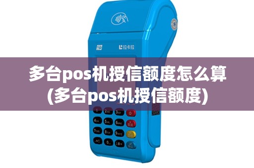多台pos机授信额度怎么算(多台pos机授信额度)
