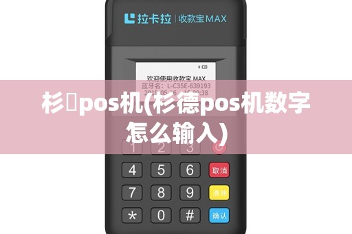 杉徳pos机(杉德pos机数字怎么输入)
