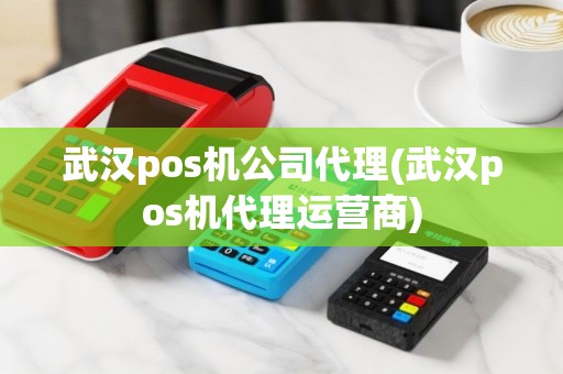 武汉pos机公司代理(武汉pos机代理运营商)