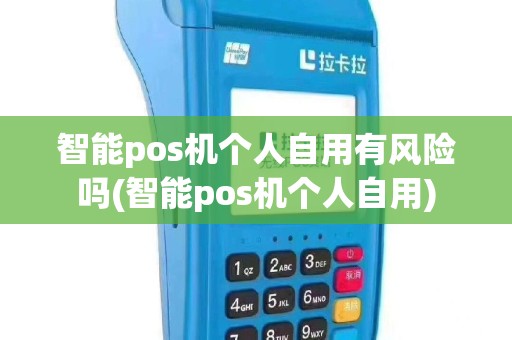 智能pos机个人自用有风险吗(智能pos机个人自用)