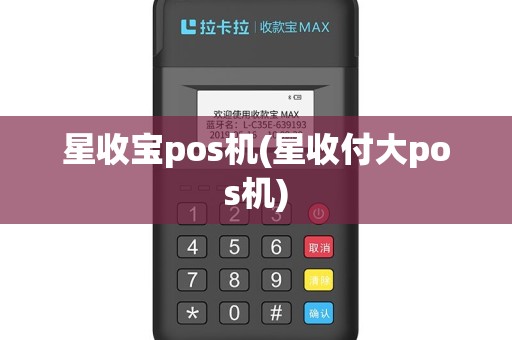 星收宝pos机(星收付大pos机)