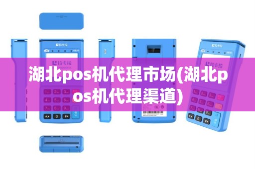 湖北pos机代理市场(湖北pos机代理渠道)