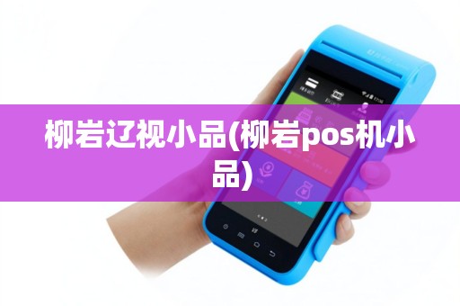 柳岩辽视小品(柳岩pos机小品)