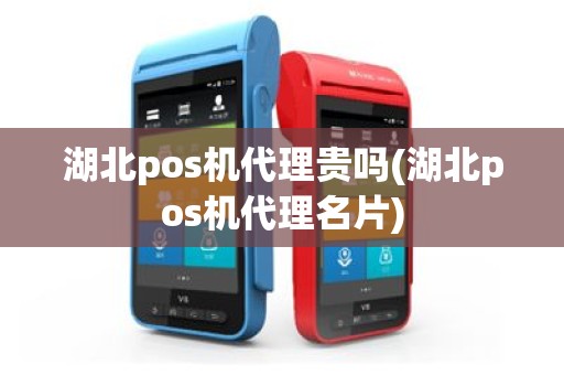 湖北pos机代理贵吗(湖北pos机代理名片)