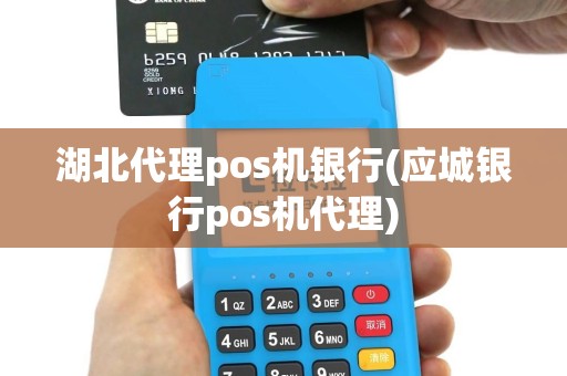 湖北代理pos机银行(应城银行pos机代理)