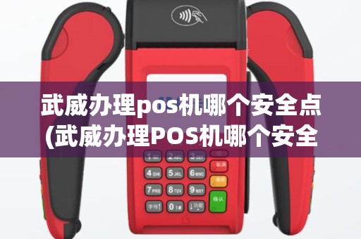武威办理pos机哪个安全点(武威办理POS机哪个安全)
