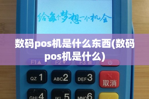 数码pos机是什么东西(数码pos机是什么)