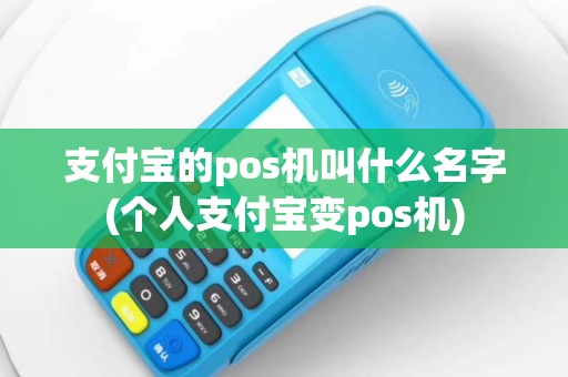 支付宝的pos机叫什么名字(个人支付宝变pos机)