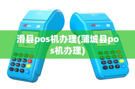 滑县pos机办理(蒲城县pos机办理)