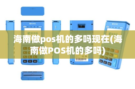 海南做pos机的多吗现在(海南做POS机的多吗)