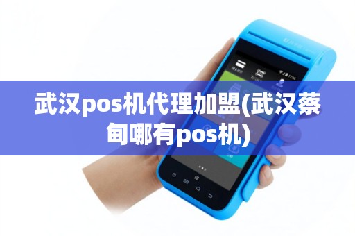 武汉pos机代理加盟(武汉蔡甸哪有pos机)