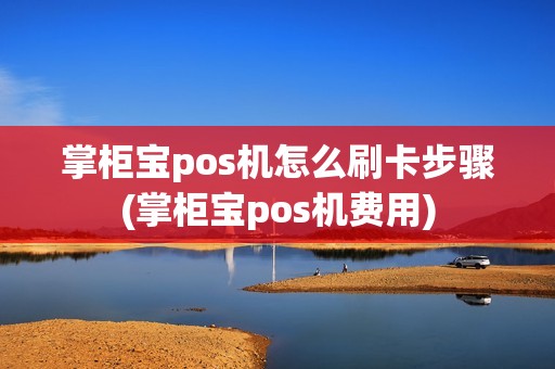 掌柜宝pos机怎么刷卡步骤(掌柜宝pos机费用)