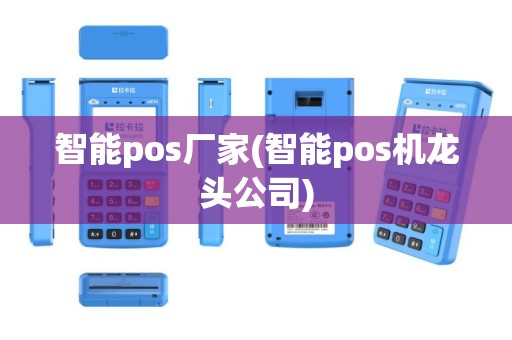 智能pos厂家(智能pos机龙头公司)