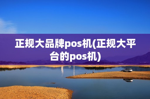 正规大品牌pos机(正规大平台的pos机)
