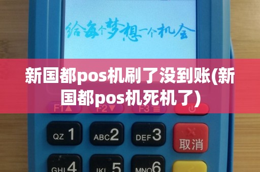 新国都pos机刷了没到账(新国都pos机死机了)