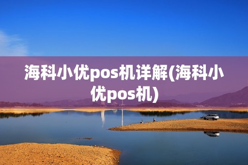海科小优pos机详解(海科小优pos机)