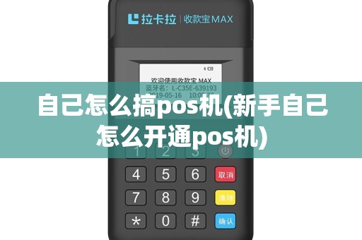 自己怎么搞pos机(新手自己怎么开通pos机)