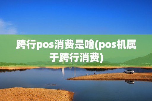 跨行pos消费是啥(pos机属于跨行消费)