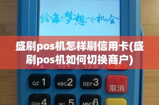 盛刷pos机怎样刷信用卡(盛刷pos机如何切换商户)