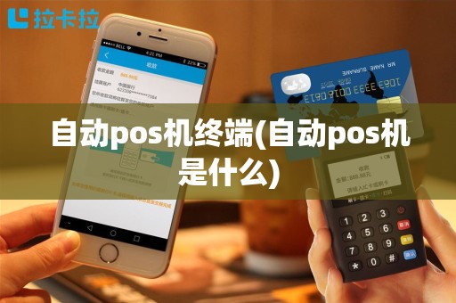 自动pos机终端(自动pos机是什么)