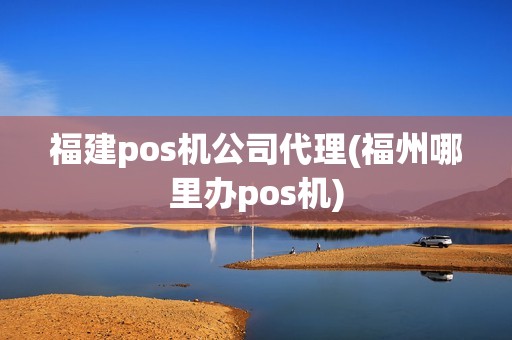 福建pos机公司代理(福州哪里办pos机)
