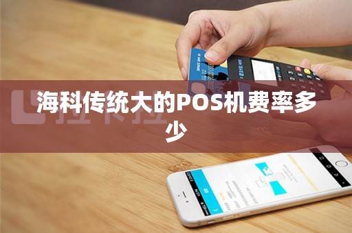 海科传统大的POS机费率多少