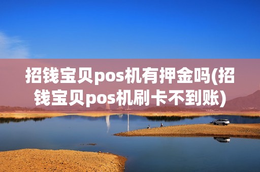 招钱宝贝pos机有押金吗(招钱宝贝pos机刷卡不到账)