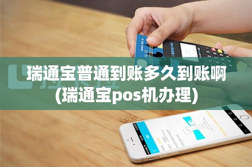 瑞通宝普通到账多久到账啊(瑞通宝pos机办理)