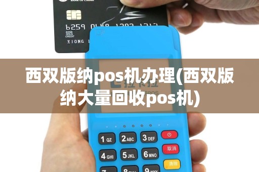 西双版纳pos机办理(西双版纳大量回收pos机)