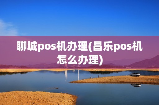 聊城pos机办理(昌乐pos机怎么办理)