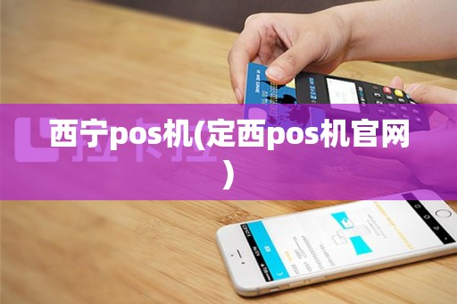 西宁pos机(定西pos机官网)