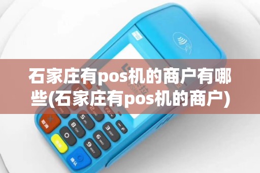 石家庄有pos机的商户有哪些(石家庄有pos机的商户)